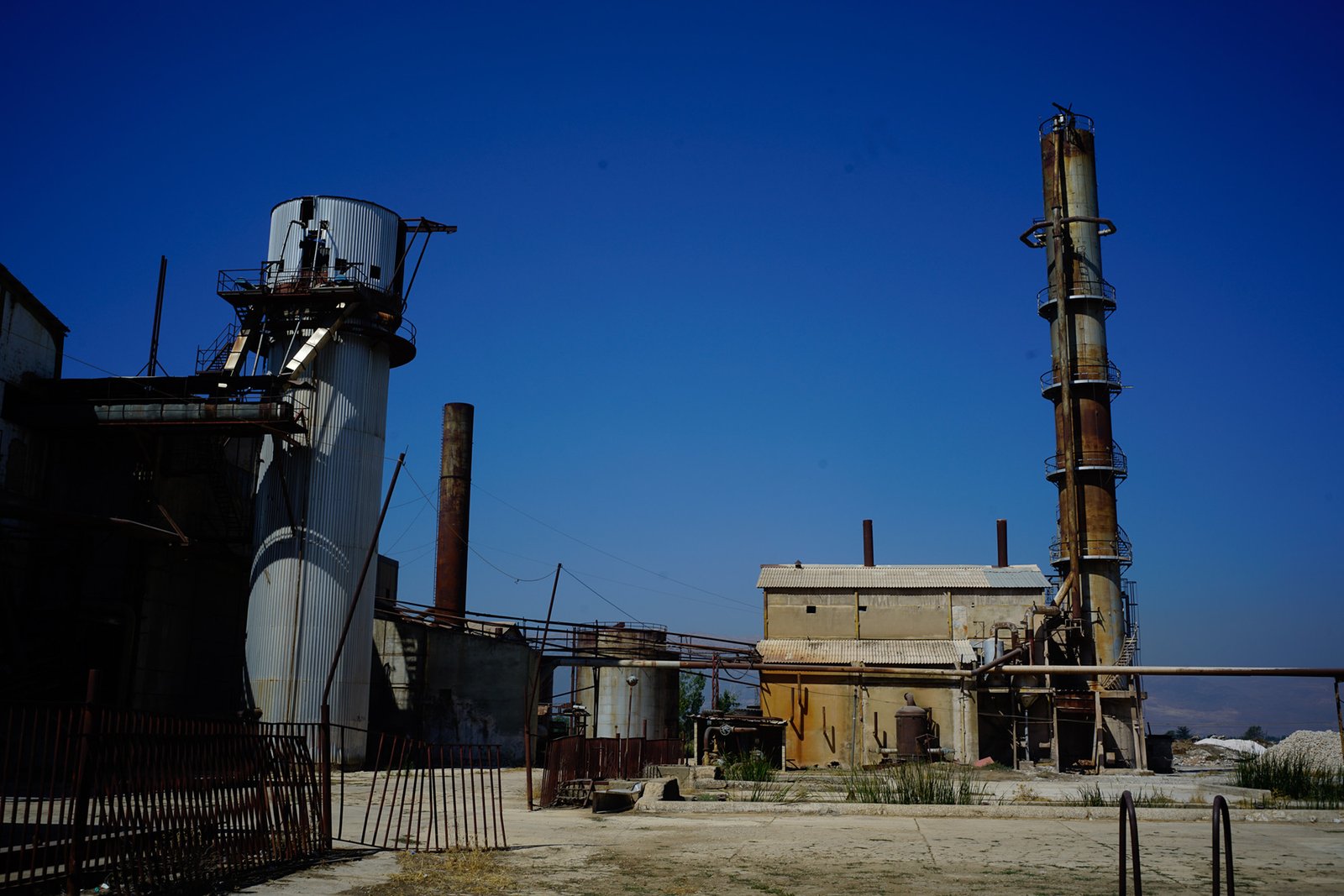 الزراعات الصناعية بين الجدوى الاقتصادية والقرار السياسي. لبنان يحتاج الى الشمندر السكري وليس تشريع الحشيشة: بري كان مع وأصبح ضد!