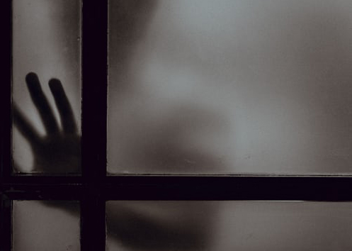 المتجاوزون للتنمر .. قصة نجاح