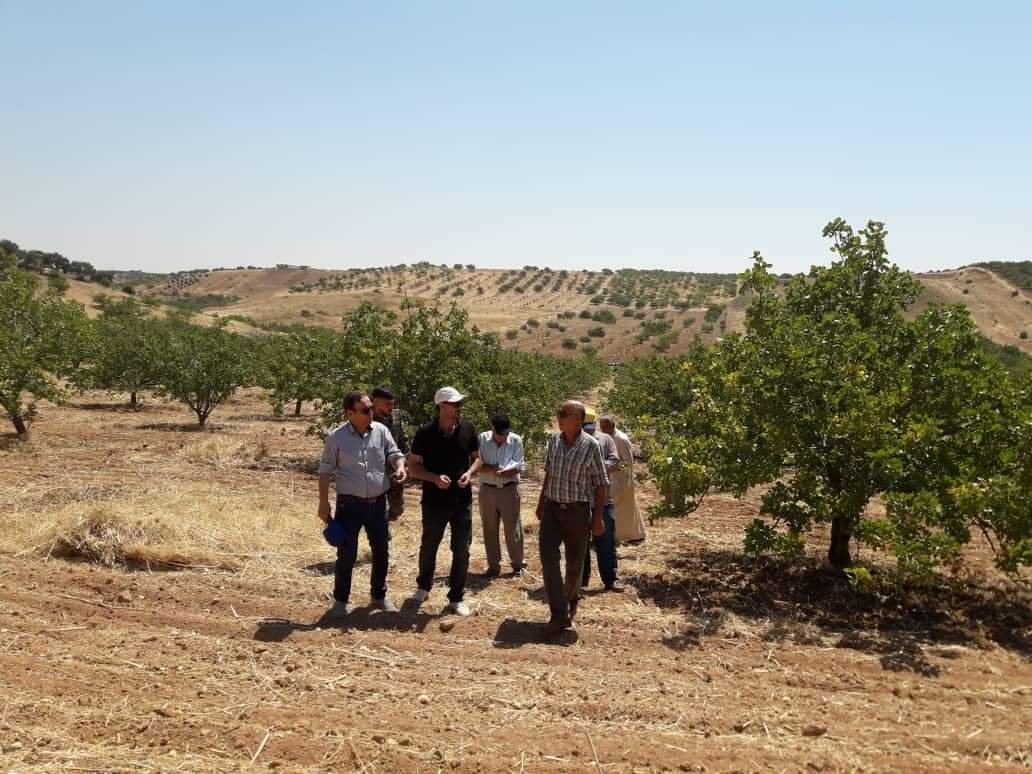 بحجة الأموات يسلب الأحياء في سوريا