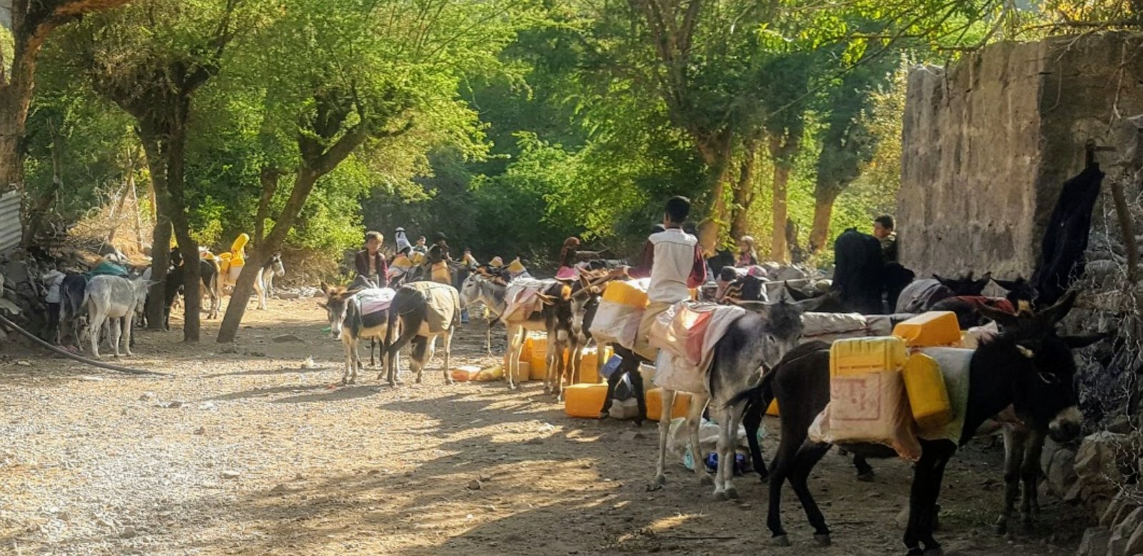 الحصول على المياه. .مهمة يومية شاقة للمواطنين في ريف محافظة إب اليمنية